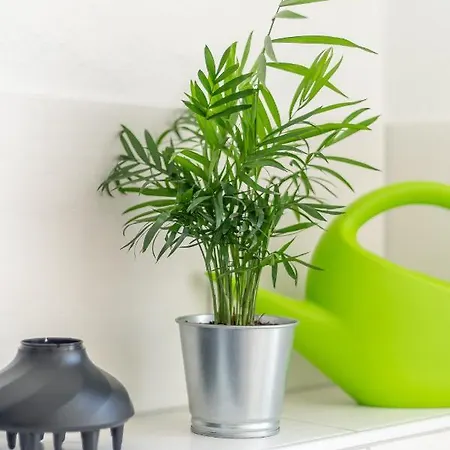 Akram I - Zentral Und Ruhig Apartamento Hildesheim